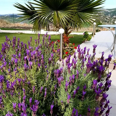 La Casa Sulla Collina 别墅